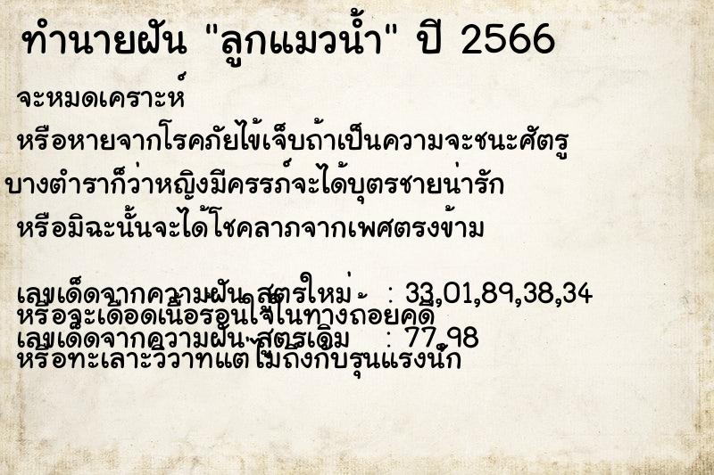 ทำนายฝัน ลูกแมวน้ำ ทำนายฝัน ลูกแมวน้ำ