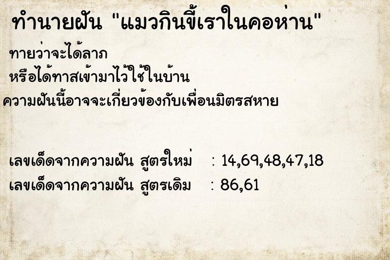 ทำนายฝัน แมวกินขี้เราในคอห่าน ทำนายฝัน แมวกินขี้เราในคอห่าน