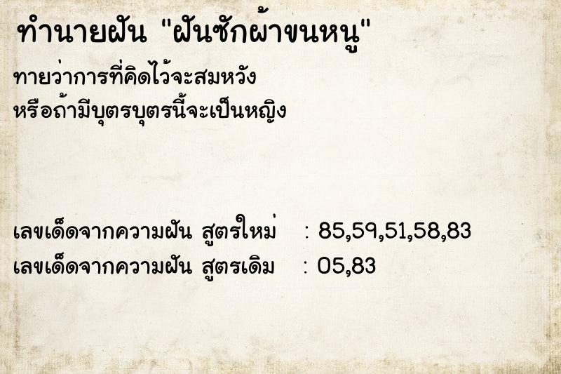 ทำนายฝัน ฝันซักผ้าขนหนู ทำนายฝัน ฝันซักผ้าขนหนู