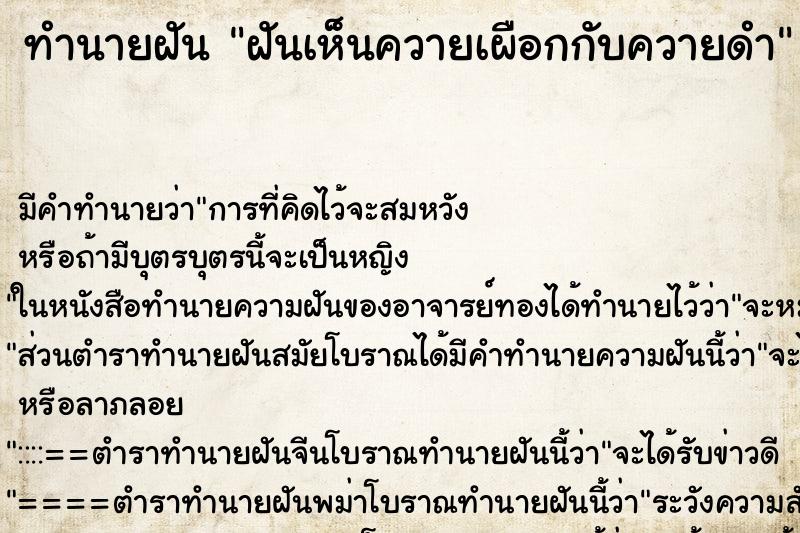 ทำนายฝัน ฝันเห็นควายเผือกกับควายดำ ทำนายฝัน ฝันเห็นควายเผือกกับควายดำ