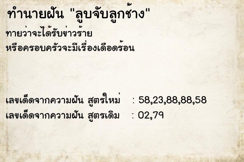 ทำนายฝันทำนายฝันลูบจับลูกช้าง