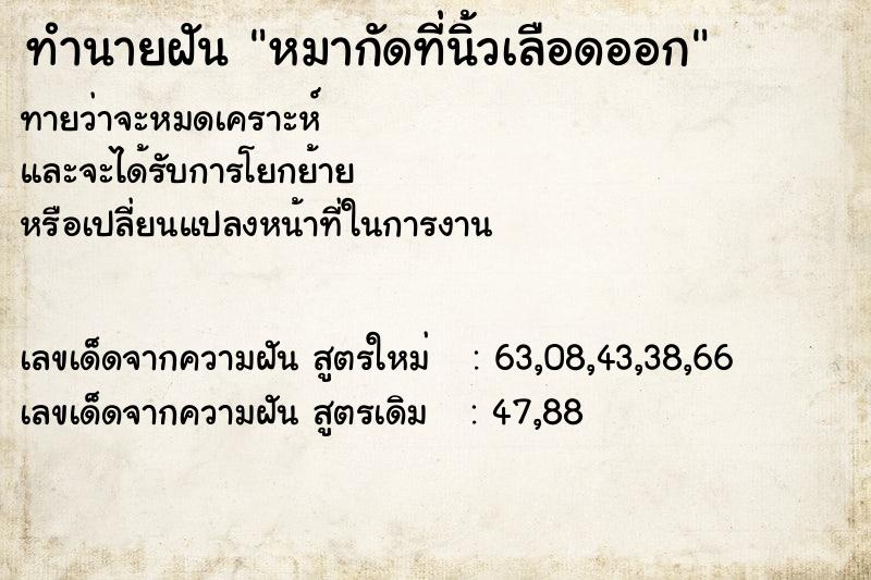 ทำนายฝันทำนายฝันหมากัดที่นิ้วเลือดออก