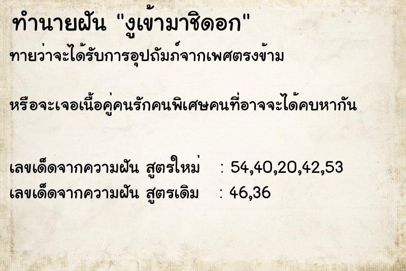 ทำนายฝันงูเข้ามาชิดอก ทำนายฝันทำนายฝันงูเข้ามาชิดอก