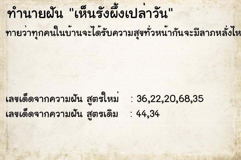 ทำนายฝันเห็นรังผึ้งเปล่าวัน ทำนายฝันทำนายฝันเห็นรังผึ้งเปล่าวัน