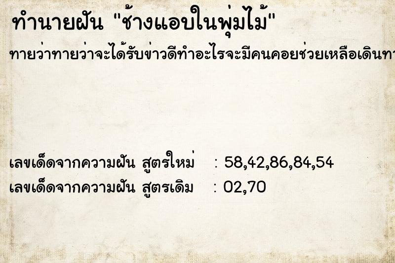 ทำนายฝันทำนายฝันช้างแอบในพุ่มไม้