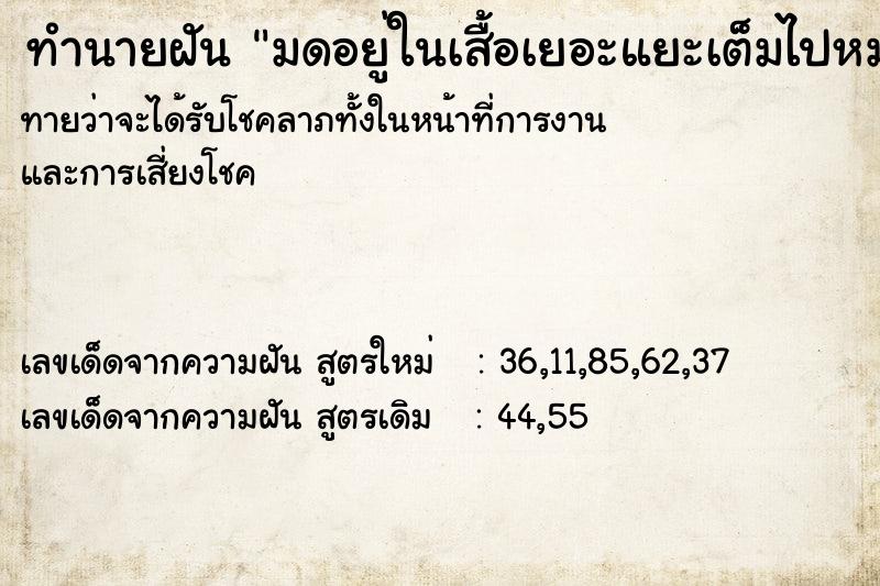 ทำนายฝันทำนายฝันมดอยู่ในเสื้อเยอะแยะเต็มไปหมด