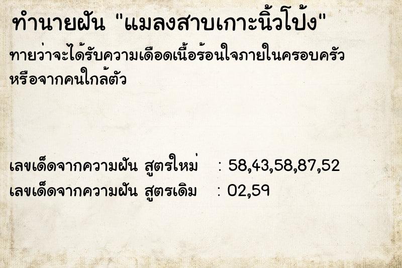 ทำนายฝันทำนายฝันแมลงสาบเกาะนิ้วโป้ง
