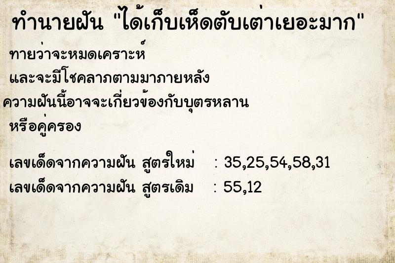 ทำนายฝันทำนายฝันได้เก็บเห็ดตับเต่าเยอะมาก