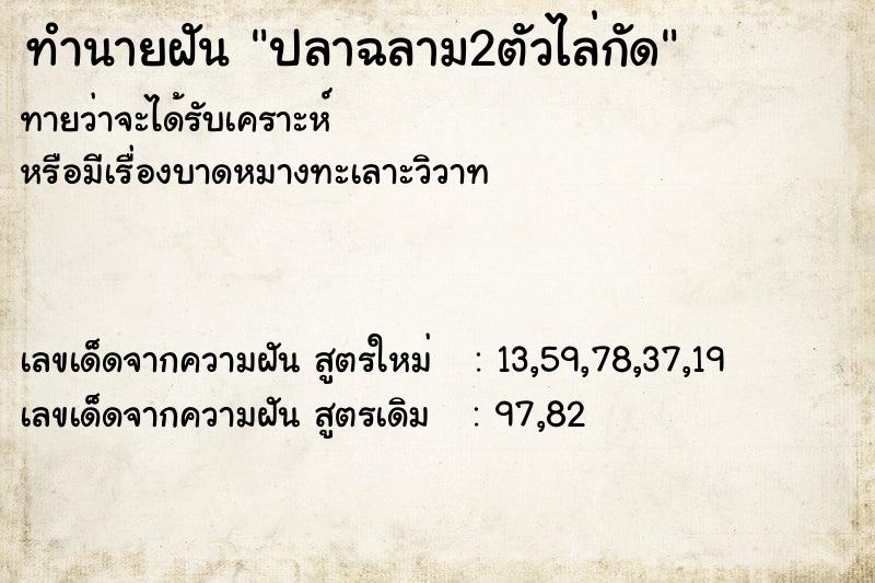 ทำนายฝันปลาฉลาม2ตัวไล่กัด ทำนายฝันทำนายฝันปลาฉลาม2ตัวไล่กัด