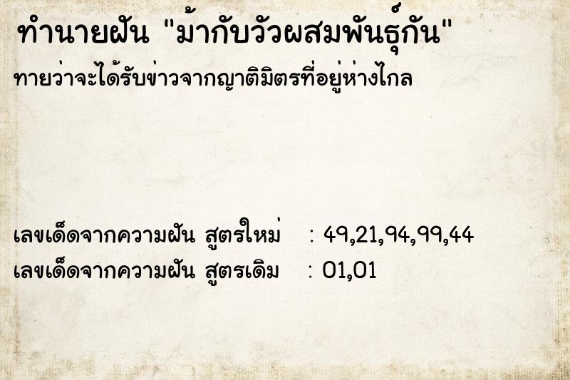 ทำนายฝันทำนายฝันม้ากับวัวผสมพันธุ์กัน