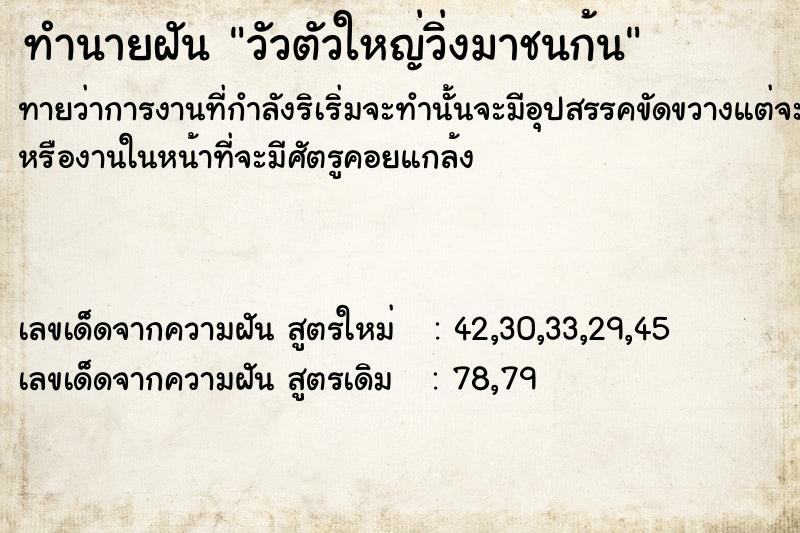 ทำนายฝันทำนายฝันวัวตัวใหญ่วิ่งมาชนก้น