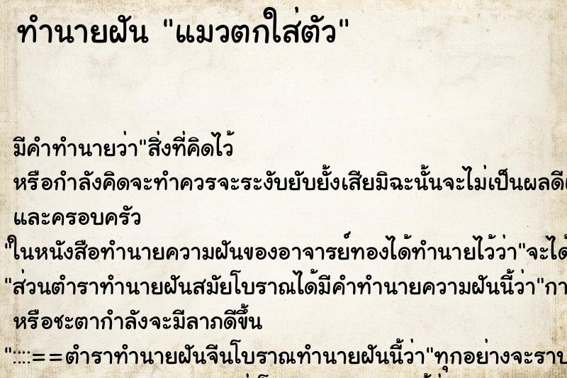 ทำนายฝัน แมวตกใส่ตัว ทำนายฝัน แมวตกใส่ตัว