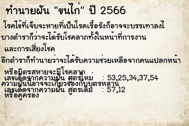 ทำนายฝันขนไก่ ทำนายฝันทำนายฝันขนไก่