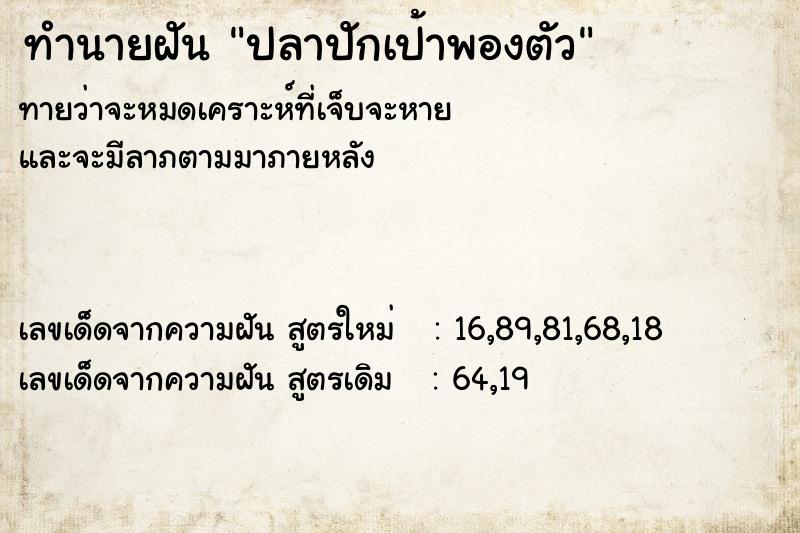ทำนายฝันปลาปักเป้าพองตัว ทำนายฝันทำนายฝันปลาปักเป้าพองตัว