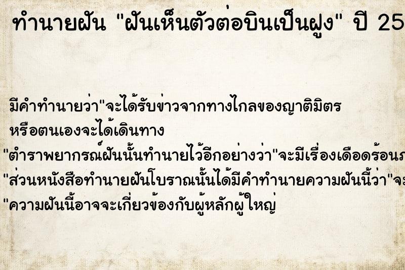 ทำนายฝันทำนายฝันฝันเห็นตัวต่อบินเป็นฝูง