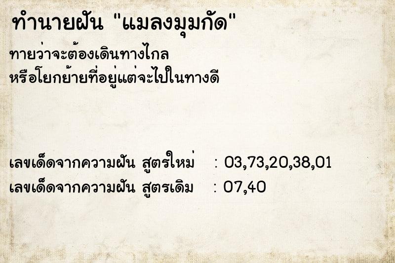 ทำนายฝันทำนายฝันแมลงมุมกัด
