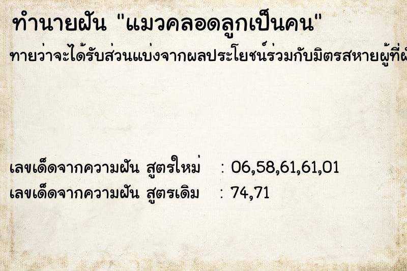 ทำนายฝัน แมวคลอดลูกเป็นคน