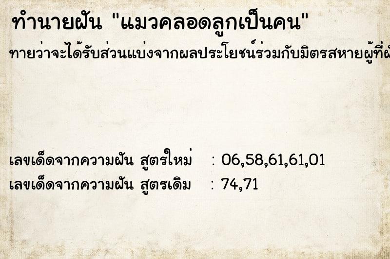 ทำนายฝัน แมวคลอดลูกเป็นคน ตำราโบราณ แม่นที่สุดในโลก