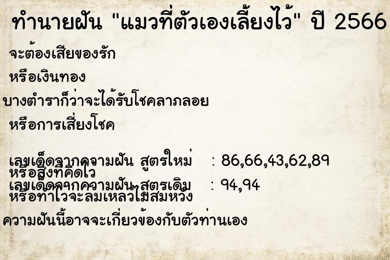 ทำนายฝัน แมวที่ตัวเองเลี้ยงไว้ ตำราโบราณ แม่นที่สุดในโลก