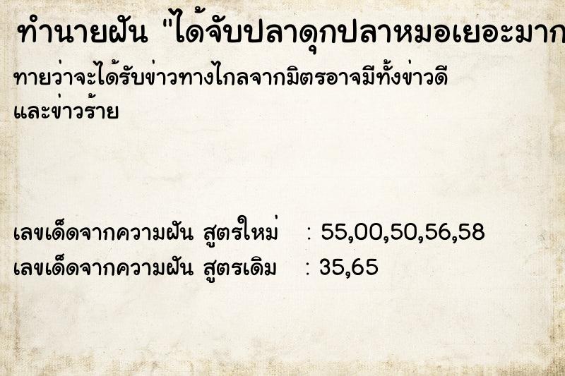 ทำนายฝันทำนายฝันได้จับปลาดุกปลาหมอเยอะมาก
