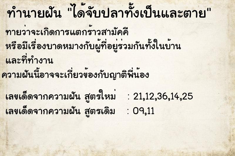 ทำนายฝันได้จับปลาทั้งเป็นและตาย ทำนายฝันทำนายฝันได้จับปลาทั้งเป็นและตาย