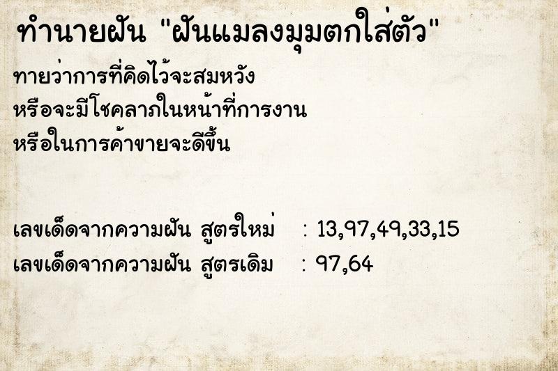 ทำนายฝันฝันแมลงมุมตกใส่ตัว ทำนายฝันทำนายฝันฝันแมลงมุมตกใส่ตัว