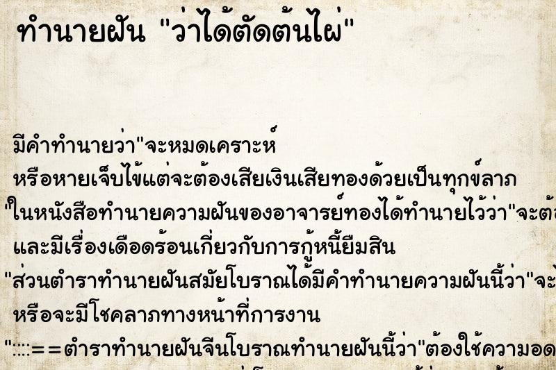 ทำนายฝัน ว่าได้ตัดต้นไผ่ ทำนายฝัน ว่าได้ตัดต้นไผ่