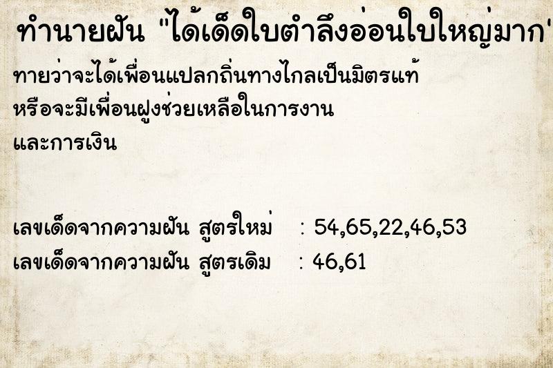 ทำนายฝันทำนายฝันได้เด็ดใบตำลึงอ่อนใบใหญ่มาก