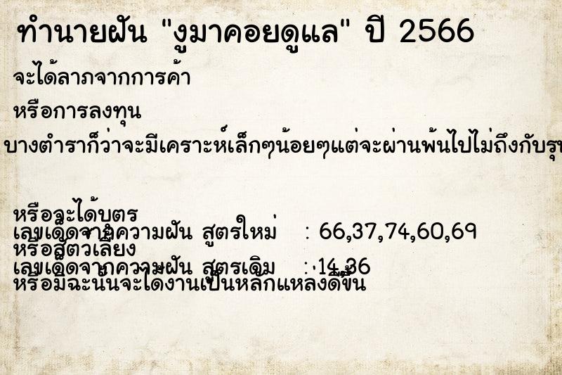 ทำนายฝัน งูมาคอยดูแล