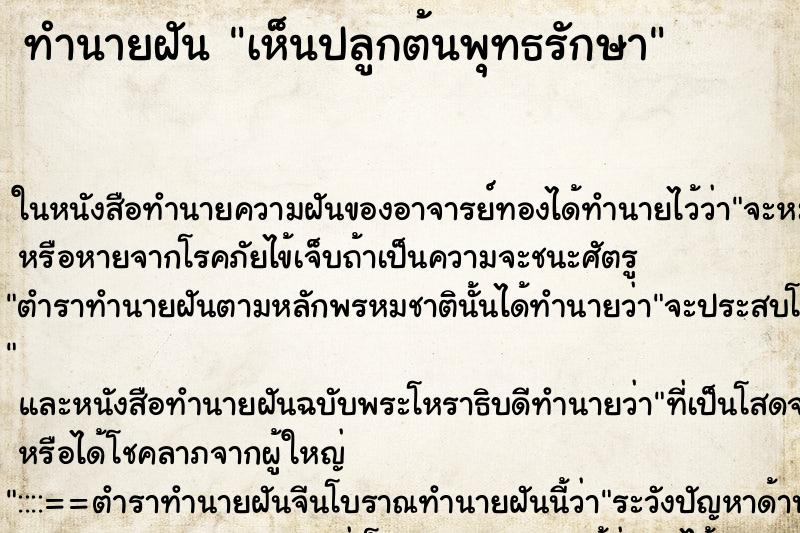 ทำนายฝันเห็นปลูกต้นพุทธรักษา ทำนายฝันทำนายฝันเห็นปลูกต้นพุทธรักษา