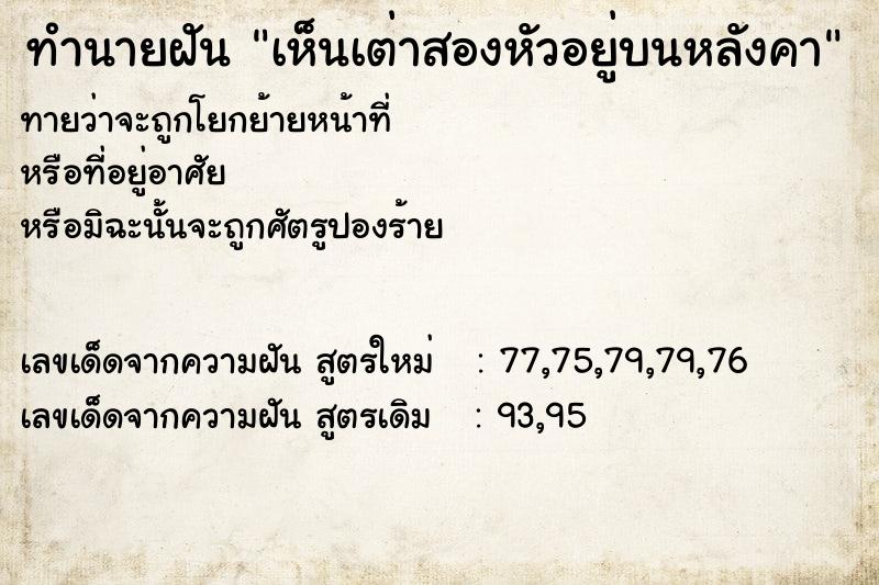 ทำนายฝันทำนายฝันเห็นเต่าสองหัวอยู่บนหลังคา