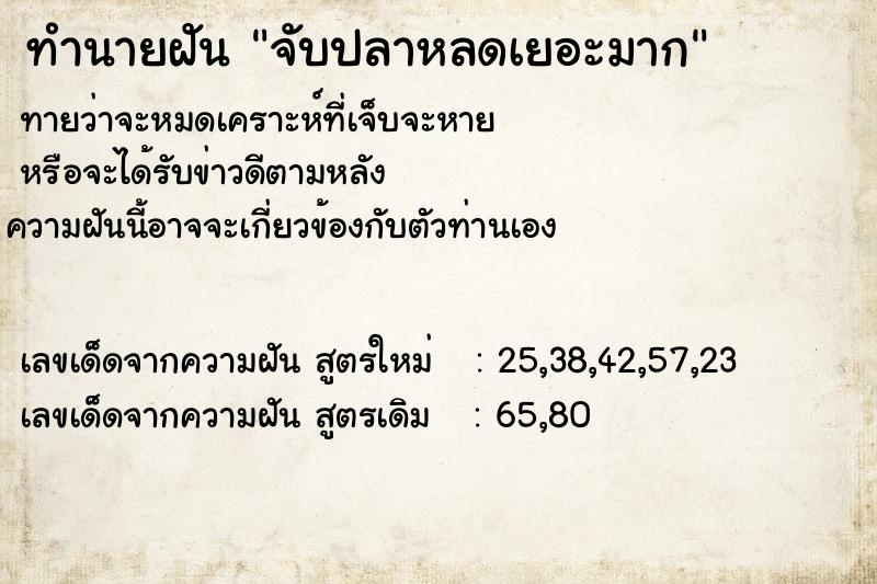 ทำนายฝันทำนายฝันจับปลาหลดเยอะมาก