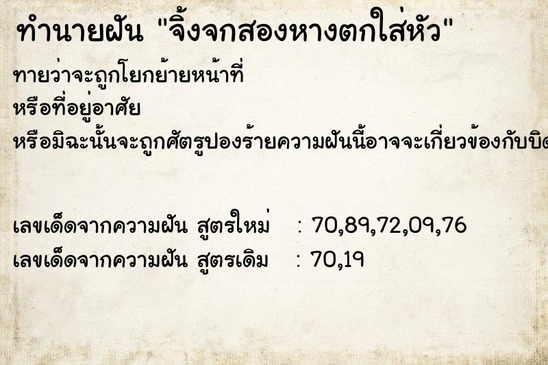 ทำนายฝันจิ้งจกสองหางตกใส่หัว ทำนายฝันทำนายฝันจิ้งจกสองหางตกใส่หัว