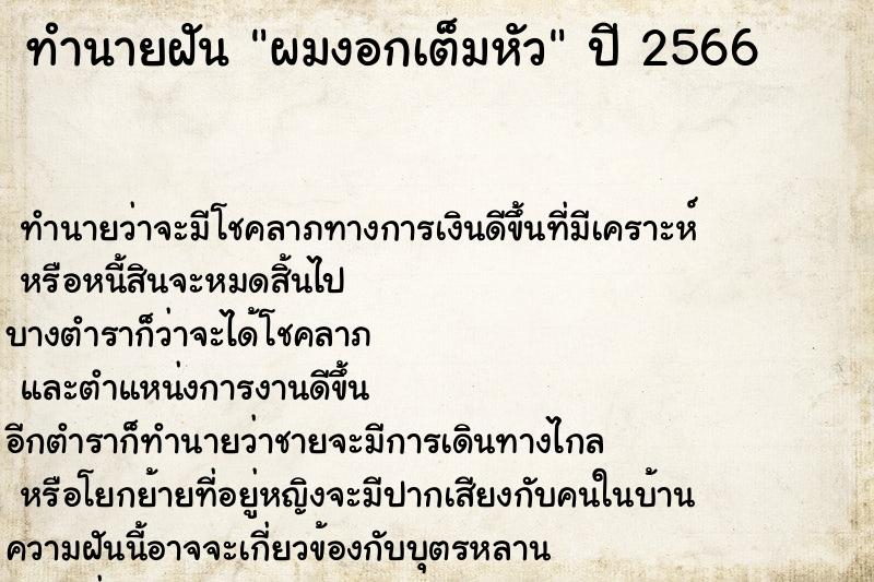 ทำนายฝัน ผมงอกเต็มหัว ทำนายฝัน ผมงอกเต็มหัว