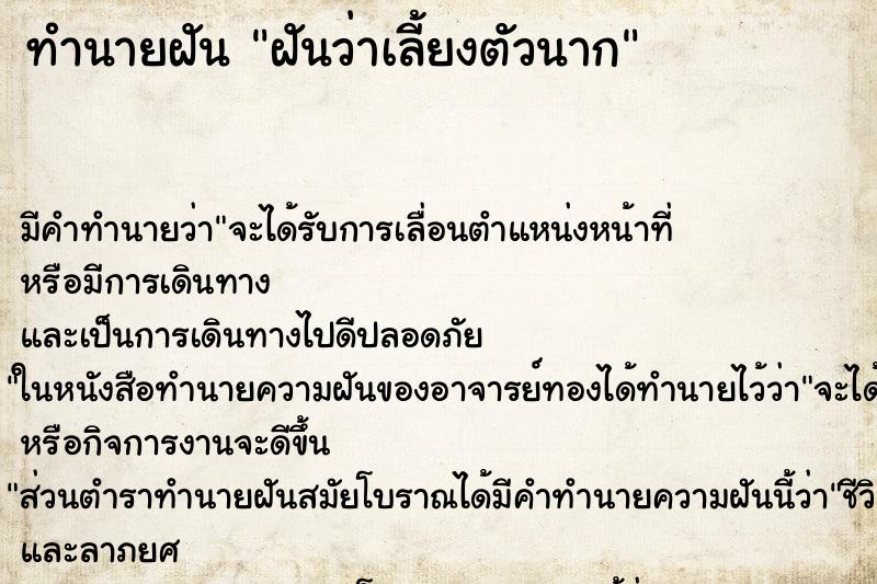 ทำนายฝัน ฝันว่าเลี้ยงตัวนาก ทำนายฝัน ฝันว่าเลี้ยงตัวนาก