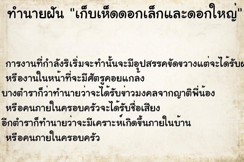 ทำนายฝัน เก็บเห็ดดอกเล็กและดอกใหญ่ ทำนายฝัน เก็บเห็ดดอกเล็กและดอกใหญ่