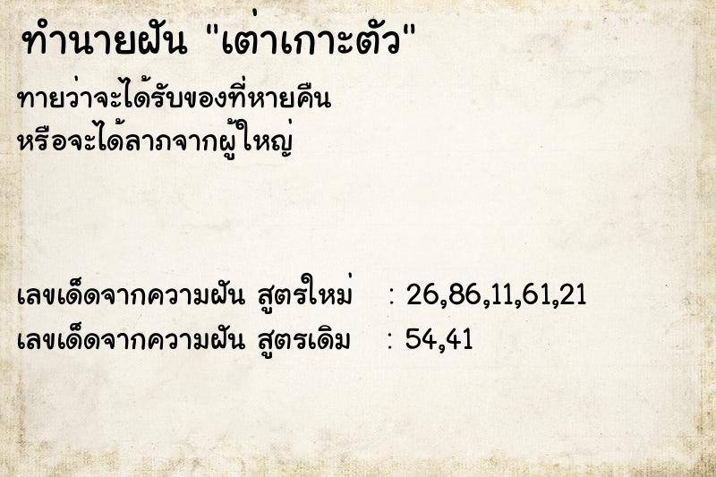 ทำนายฝันทำนายฝันเต่าเกาะตัว