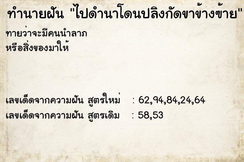 ทำนายฝันทำนายฝันไปดำนาโดนปลิงกัดขาข้างฃ้าย
