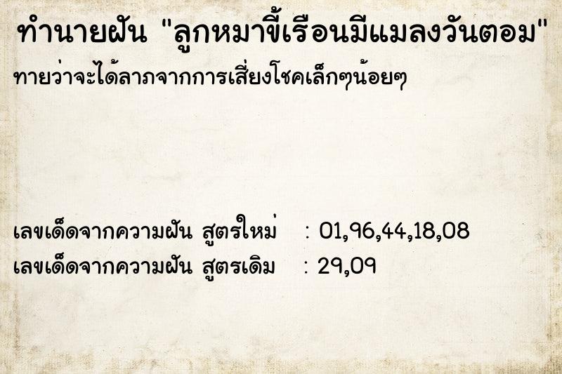 ทำนายฝันทำนายฝันลูกหมาขี้เรือนมีแมลงวันตอม