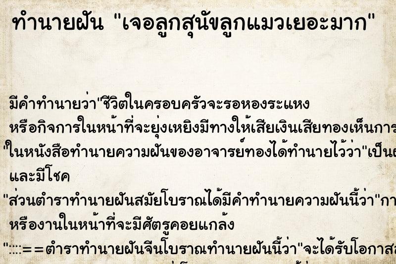 ทำนายฝัน เจอลูกสุนัขลูกแมวเยอะมาก ทำนายฝัน เจอลูกสุนัขลูกแมวเยอะมาก