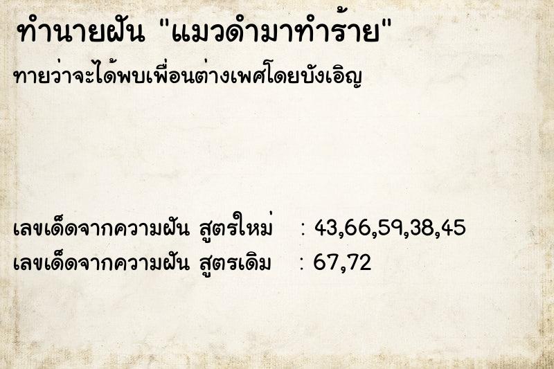ทำนายฝัน แมวดำมาทำร้าย ทำนายฝัน แมวดำมาทำร้าย