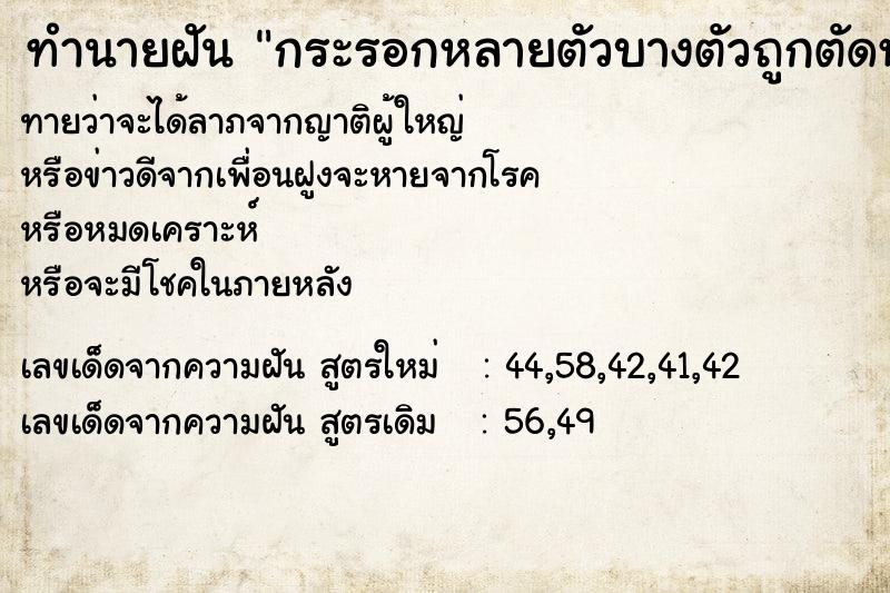 ทำนายฝันกระรอกหลายตัวบางตัวถูกตัดหางบางตัวไม่ตัดหาง ทำนายฝันทำนายฝันกระรอกหลายตัวบางตัวถูกตัดหางบางตัวไม่ตัดหาง