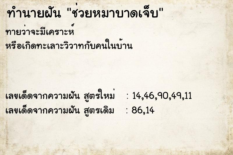 ทำนายฝันช่วยหมาบาดเจ็บ ทำนายฝันทำนายฝันช่วยหมาบาดเจ็บ