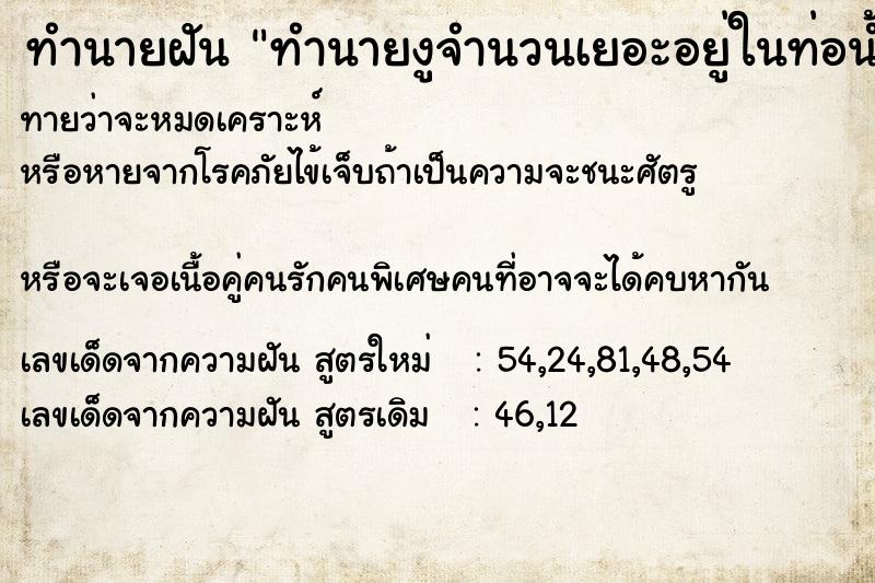 ทำนายฝันทำนายฝันทำนายงูจำนวนเยอะอยู่ในท่อน้ำ
