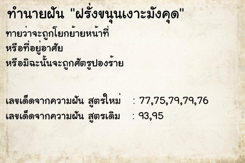 ทำนายฝันฝรั่งขนุนเงาะมังคุด ทำนายฝันทำนายฝันฝรั่งขนุนเงาะมังคุด