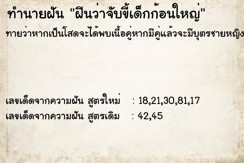 ทำนายฝันทำนายฝันฝีนว่าจับขี้เด็กก้อนใหญ่