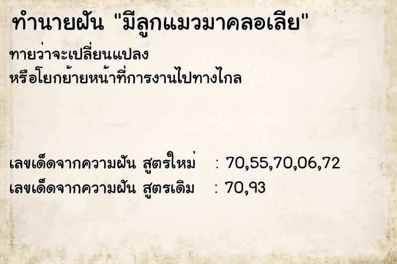 ทำนายฝันทำนายฝันมีลูกแมวมาคลอเลีย