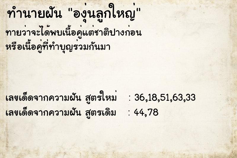 ทำนายฝันทำนายฝันองุ่นลูกใหญ่