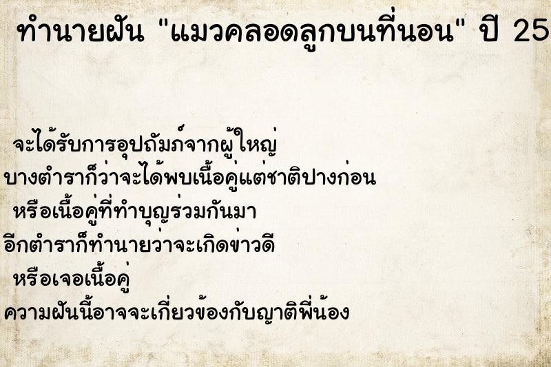 ทำนายฝันทำนายฝันแมวคลอดลูกบนที่นอน