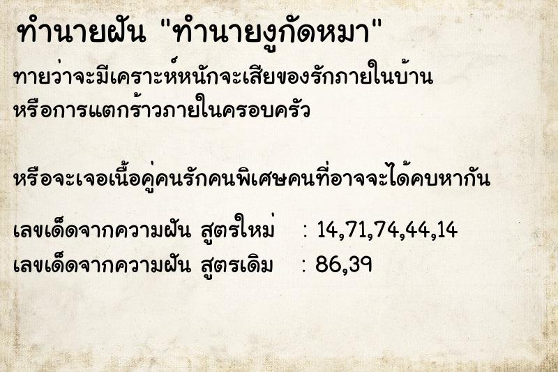 ทำนายฝันทำนายงูกัดหมา ทำนายฝันทำนายฝันทำนายงูกัดหมา